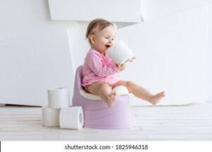 Potty Seat and Toilet Box
